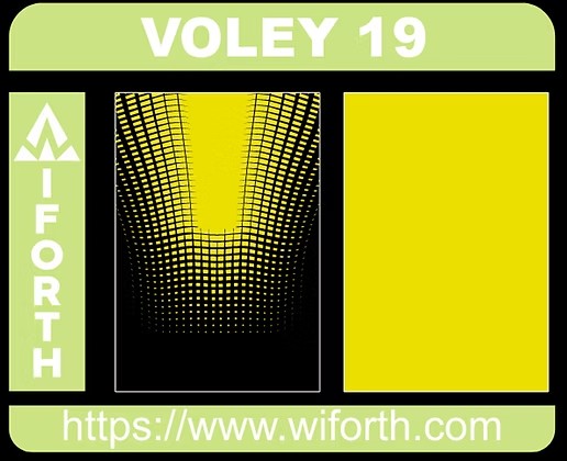 VOLEY 019